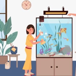 Fish Care and Filter Maintenance