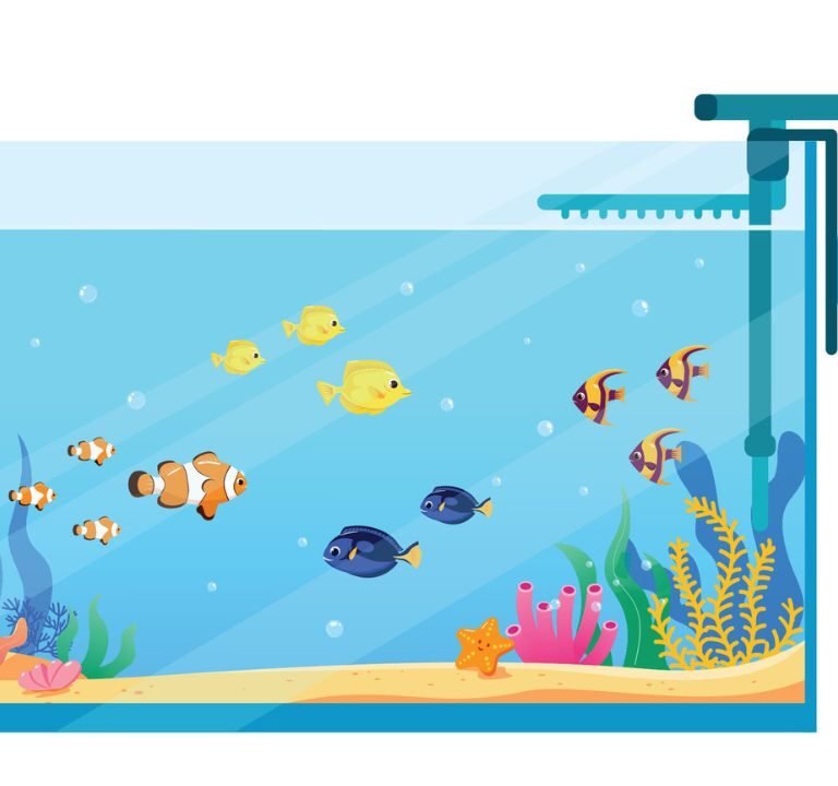 The Best Filters for Small Aquariums