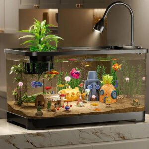 Top 10 Common Aquarium Mistakes