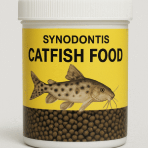 synodontis catfish food